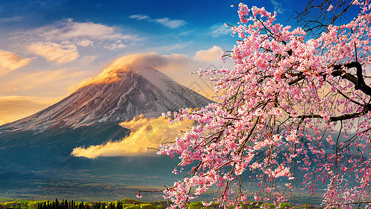 日本春天的藤山和樱花盛开蓝色火山天际地标游客全景天空季节风景旅行图片