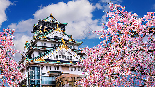 在日本大阪的樱花和城堡地标建筑季节宝塔旅游花园蓝色天空旅行观光图片