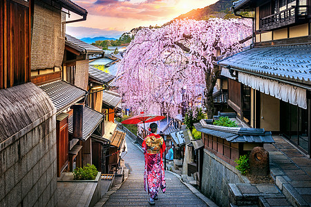 日本樱花之旅身穿日本传统和服的女人在日本京都的春日山区走过历史之旅旅行季节浴衣街道神社女孩城市旅游寺庙樱花背景