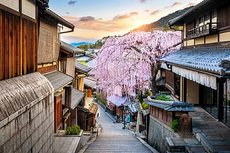 在日本京都历史悠久的东山县春季樱花开花树木风景季节历史性景观场景旅行花朵花园宝塔图片