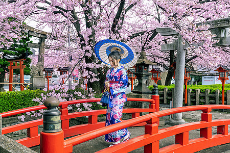 在日本京都寺庙的春天 身着日本传统和服和樱花的亚洲妇女公园女性女士植物文化花园女孩艺妓樱花旅行图片