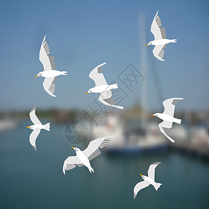一组海鸥在海洋背景上飞行图片