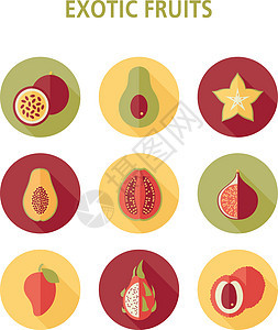 异国情调的水果图标 se插图热带食物热情木瓜荔枝图片