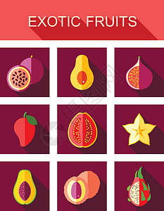异国情调的水果图标 se木瓜热带插图荔枝热情食物图片