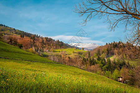 奥罗比山脉绿色山丘全景图片