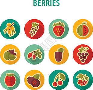 新鲜浆果图标 se叶子食物红色醋栗西瓜鼠李插图黑色覆盆子水果图片