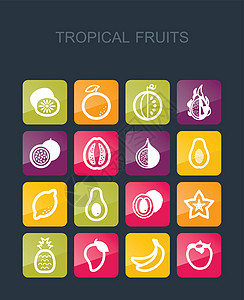 热带水果图标 se凤梨橙子柿子木瓜柠檬食物情调异国香蕉奇异果图片
