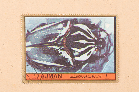 阿拉伯联合酋长国  大约 1972 年 在美国印刷的邮票历史性信封爱好邮资漏洞古董空气收藏甲虫图片