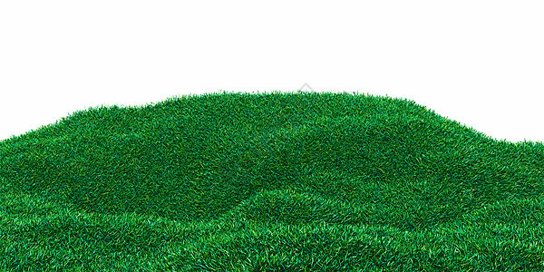 红草草地的背景图像农业国家季节地平线场景晴天农村植物生长农场图片