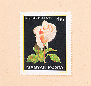 匈牙利CIRCA 1980年 匈牙利印刷的邮票显示一朵花收藏邮资信封空气历史性爱好收集古董背景图片