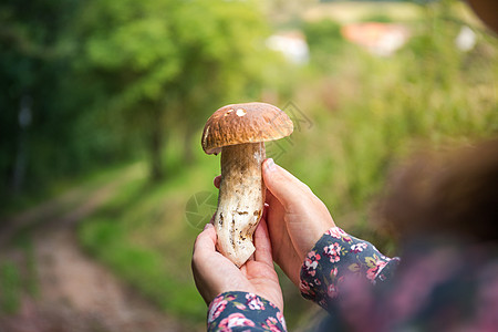 女孩发现美丽的大蘑菇 - 肉汁糖图片