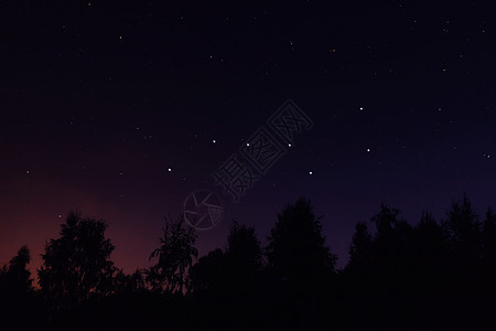 夜星空中的大天顶或大熊星座Ursa主要星座天空北斗星风景森林天文学旅行科学场地公园星空图片