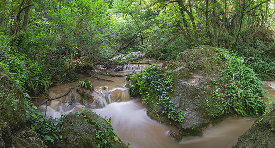 保加利亚的Krushuna瀑布溪流公园活力苔藓森林全景瀑布植物小路旅行图片