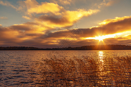 日落时太阳的光线穿过湖面上的云层 美丽的夜晚风景背景 非常美丽图片