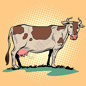 有乳房的奶牛 农场动物图片