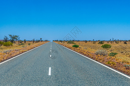 澳大利亚漫长的空旷道路 穿过通往地平线的热带草原景观图片