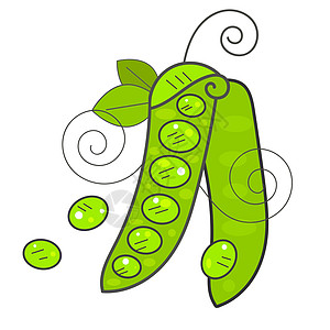 Pea pod 图标 孤立的用于网络设计的cape cod 矢量图标卡通插图植物健康食物收成美食团体叶子水果豆类图片