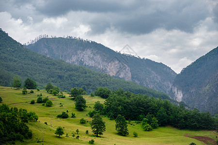 欧洲黑山 巴尔干的Durmitor国家公园 德米托尔国家公园欧洲爬坡旅行国家天空塔拉娱乐公园森林木头全景图片