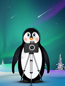 拍摄北光的图片企鹅绿色星星插图拍照展示三脚架天空哺乳动物相机图片