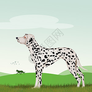 Dalmatian 狗宠物动物黑色朋友白色斑点哺乳动物图片