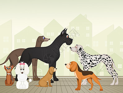 各种种类的狗哺乳动物斑点荒野毛皮插图动物背景图片