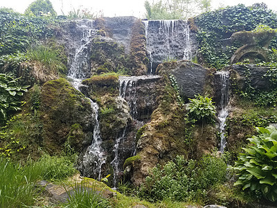 长有流水瀑布和绿植物的岩石壁园林绿化石头绿色环境背景图片