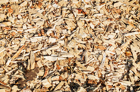 刨花刨花天然材料纹理背景卷曲颗粒剂谷物芯片森林橡木锯末粮食工具矿业图片