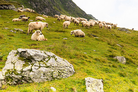 牧羊之锁在山上国家访问内存地标季节旅行牧羊人小屋山脉俱乐部图片