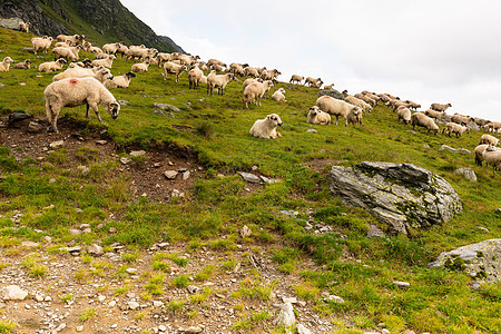 牧羊之锁在山上牧羊人高地路线俱乐部山脉美丽小屋地标石头旅行图片