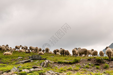 牧羊之锁在山上地区小屋路线旅游俱乐部季节国家高地内存牧场图片