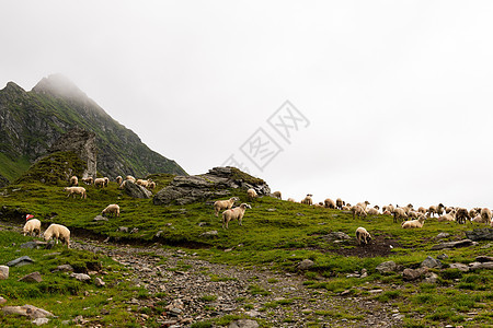 牧羊之锁在山上访问地标山脉旅游山脊小屋溪流高地旅行牧场图片