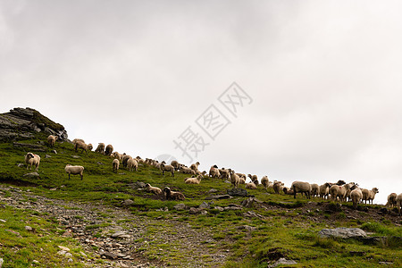 牧羊之锁在山上石头季节溪流小屋山脉山脊美丽路线高地访问图片