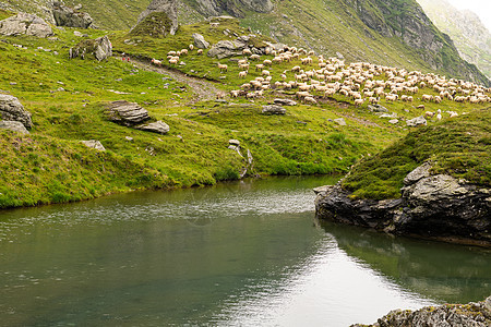 牧羊之锁在山上石头旅行路线美丽俱乐部访问牧羊人季节地区山脊图片