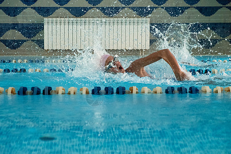 孩子们游自由式泳池 室内游泳池里有清蓝的水女孩游泳者蓝色运动员女性运动青年车道孩子季节图片