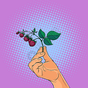 手握的草莓树枝图片