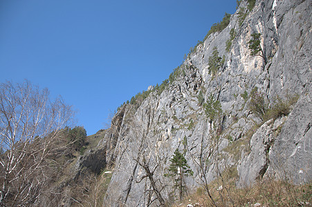 努德阿尔泰山对着清蓝的天空荒野全景冰川房子蓝色仙境针叶林旅游季节风景图片