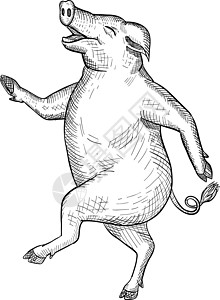 快乐的猪跳舞绘图复古黑色和白色图片