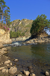 卡顿山河的岩石海岸 Altai石头环境公园远足天空溪流树木顶峰蓝色季节图片