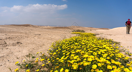 位于沙漠中的字符串远足游客旅游生态男人生态旅游天空假期旅行图片