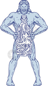 大力士海克力士拿着瓶装瓶 里面画着八爪鱼设计图片