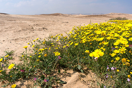 位于沙漠中的字符串生态天空旅游旅行游客假期生态旅游远足图片