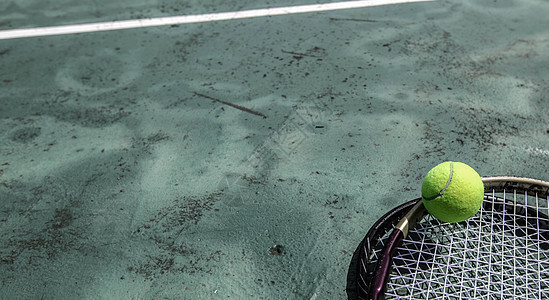 网球和在法庭上的吵闹娱乐绿色活动游戏晴天场地热带运动棕榈俱乐部图片