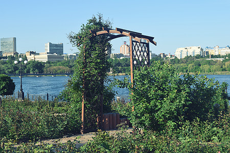 配有鲜花和树木的城市公园草地建筑学办公室景观旅行城市森林花园晴天娱乐图片