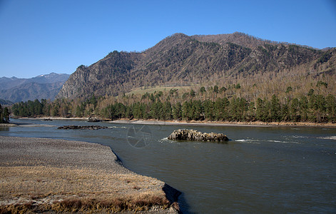 在山河床中央的石岛环境爬坡荒野木头风景岛屿全景森林山脉岩石图片