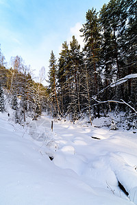 森林中冰冻河流的雪覆盖床铺天空森林季节蓝色山脉树木白色松树场景图片