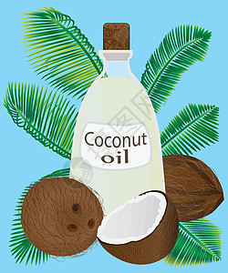 罐子里的椰子油和椰子矢量图食物叶子卫生疼痛黄油牛奶营养可可插图热带图片