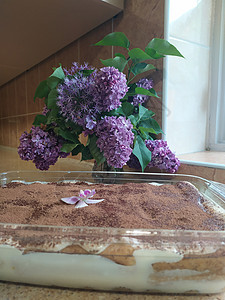 蒂拉米苏蛋糕巧克力奶油棕色甜点白色糕点食物盘子可可餐厅图片