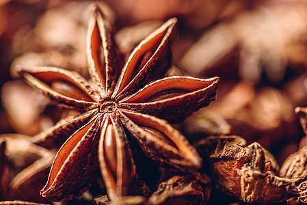 八角茴香果实和种子的背景星星草本植物季节八角水果药品香味乡村香料香气图片