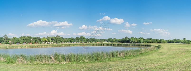 在德克萨斯州达拉斯附近开花的有稻草和野花的全景山坡边湖公园公园旅游城市百合蓝色春花民众湿地花园反射图片