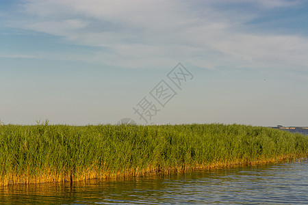 菲施兰上的博登兰德沙夫特芦苇蓝色植被太阳岛屿远足海岸情绪反射沙丘图片